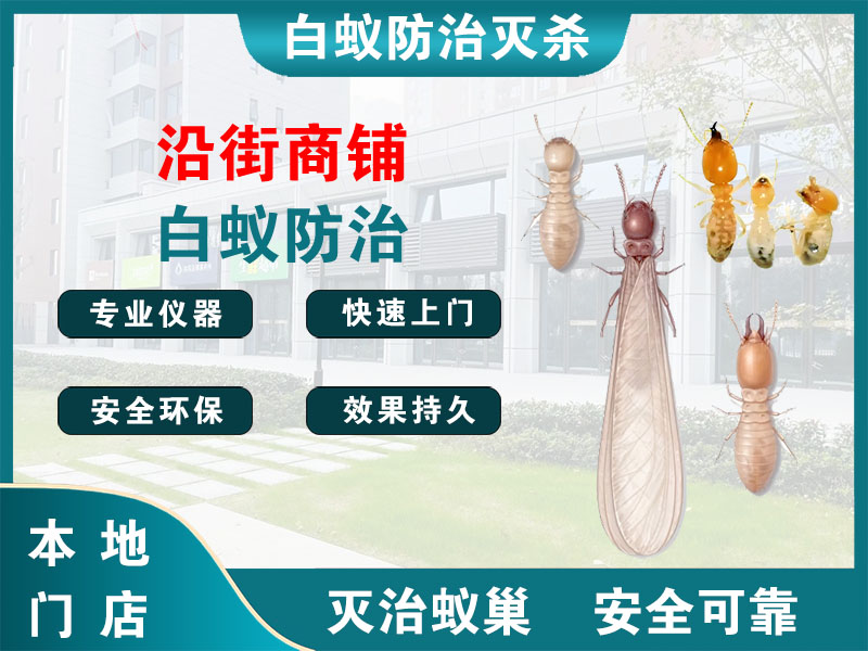 浦口沿街商铺白蚁防治
