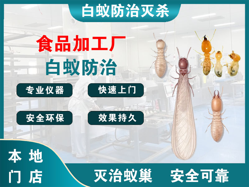 浦口食品加工厂白蚁防治