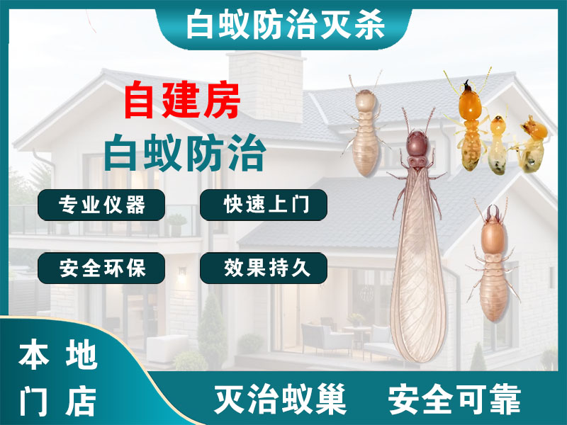 浦口自建房白蚁防治
