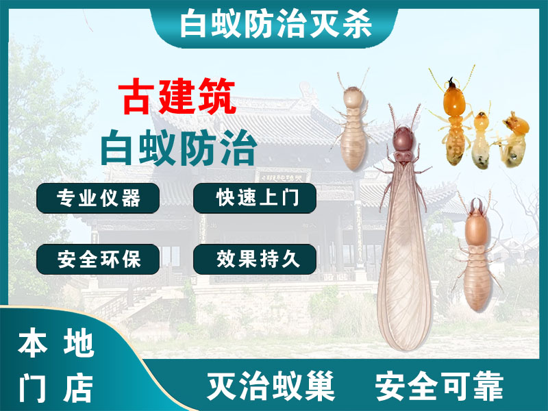 浦口古建筑白蚁防治