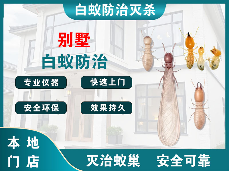 浦口别墅白蚁防治